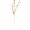 ADDO Vase Crème