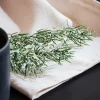CEDER Branche Décorative Vert