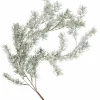 CEDER Branche Décorative Vert