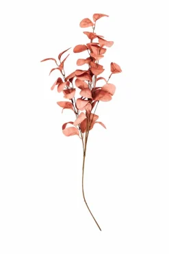 EVA Eucalyptus Vert