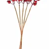 FOAM Branche De Grenadier Rouge