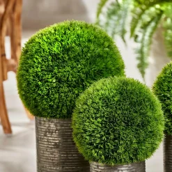 GRASS Botte D'herbe Rouge