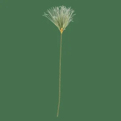GRASS Botte D'herbe Vert