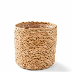 GREEN Boule Buis Vert