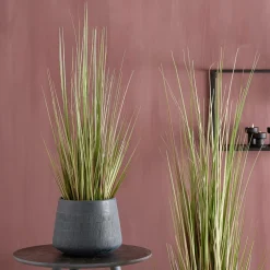 HERBA Herbe En Pot Vert