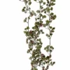 HYMNE Branche Décorative