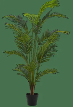 KWAI Palmier Vert