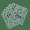 LOLIUM GREEN Set De 20 Serviettes Vert