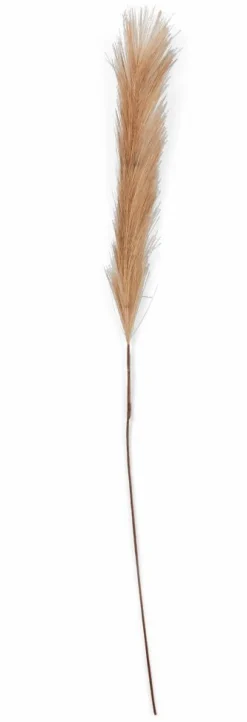 PLUME Plumes Décoratives Brun Clair