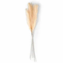 PLUME Plumes Décoratives Brun Clair