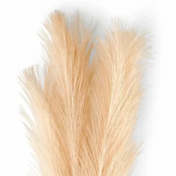 PLUME Plumes Décoratives Brun Clair