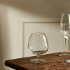 SPEAKEASIES Verre à Cognac 46,5 CL Transparent