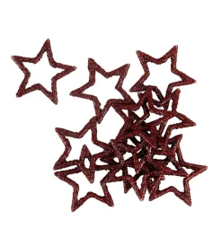 STAR Décoration Séchée