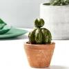 TIERRA Pot De Fleurs Terre Cuite
