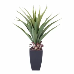 VERA Plante Grasse Sur Tige Vert
